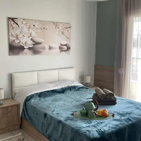 Apartmán Chrysa Cozy House *